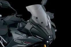 Suzuki GSX-S1000 GX Short Screen - Smoked Tint