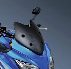 Suzuki GSX-S1000FA Carbon Meter Visor
